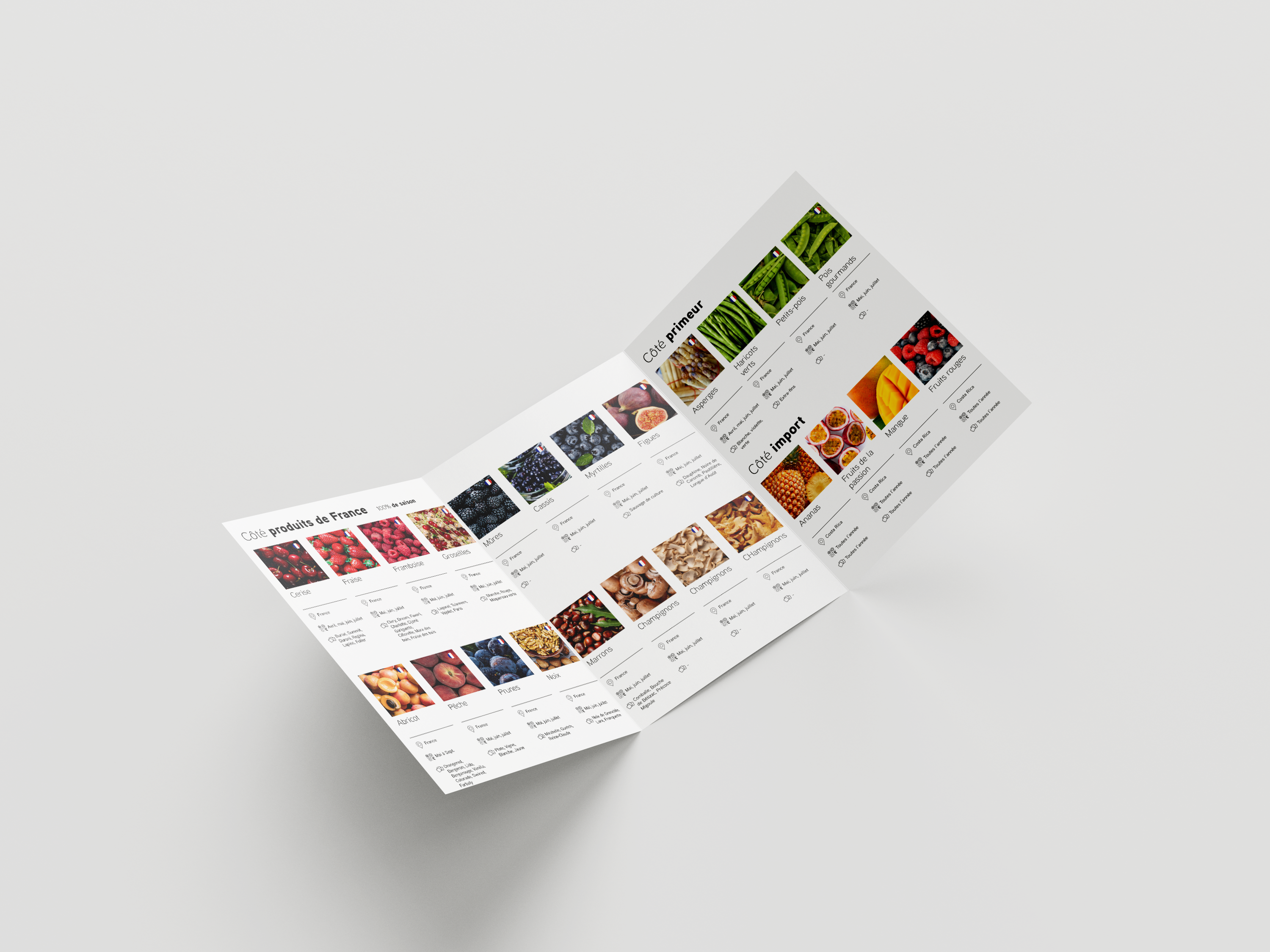 Free_Trifold_A4_Flyer_1